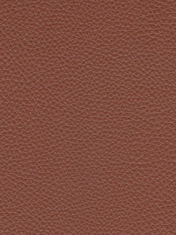 Botanica 247