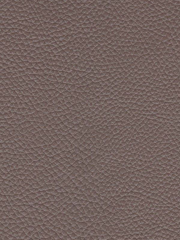 Botanica 792