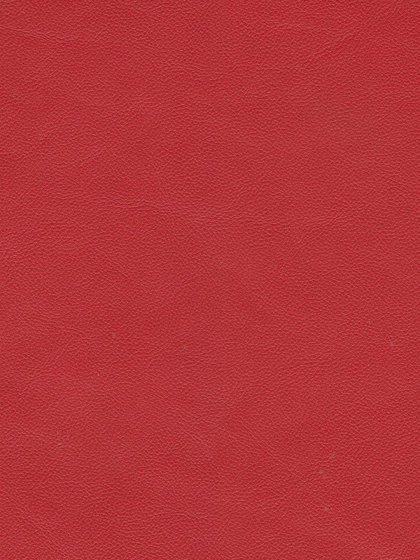 Dolomiti 176