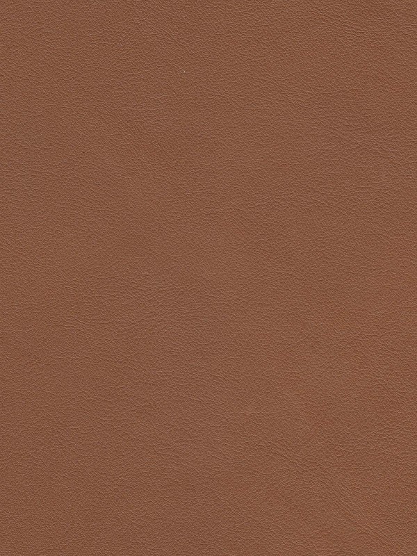 Lugano 694