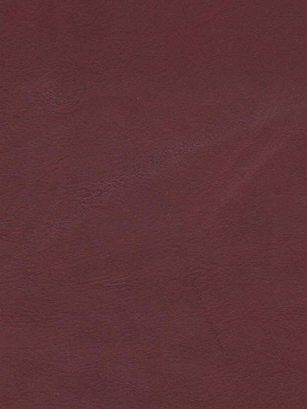 Monte 568